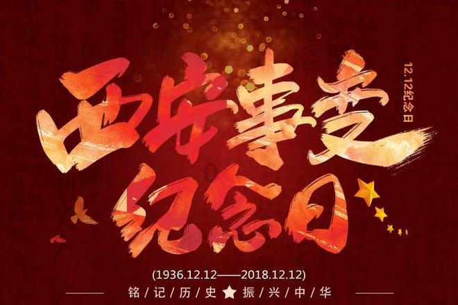 小猫钓鱼正版下载中文版
